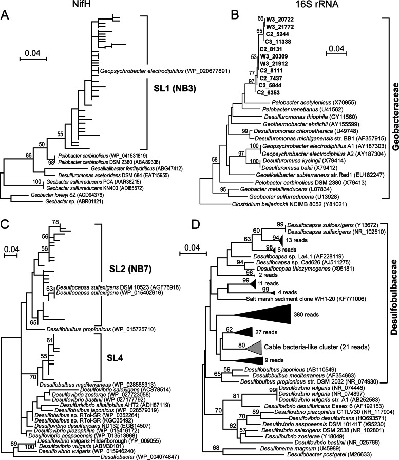 FIG 2