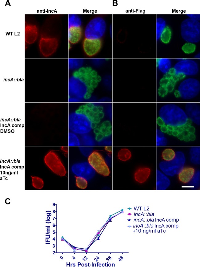 FIG 3