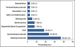 Graph 1