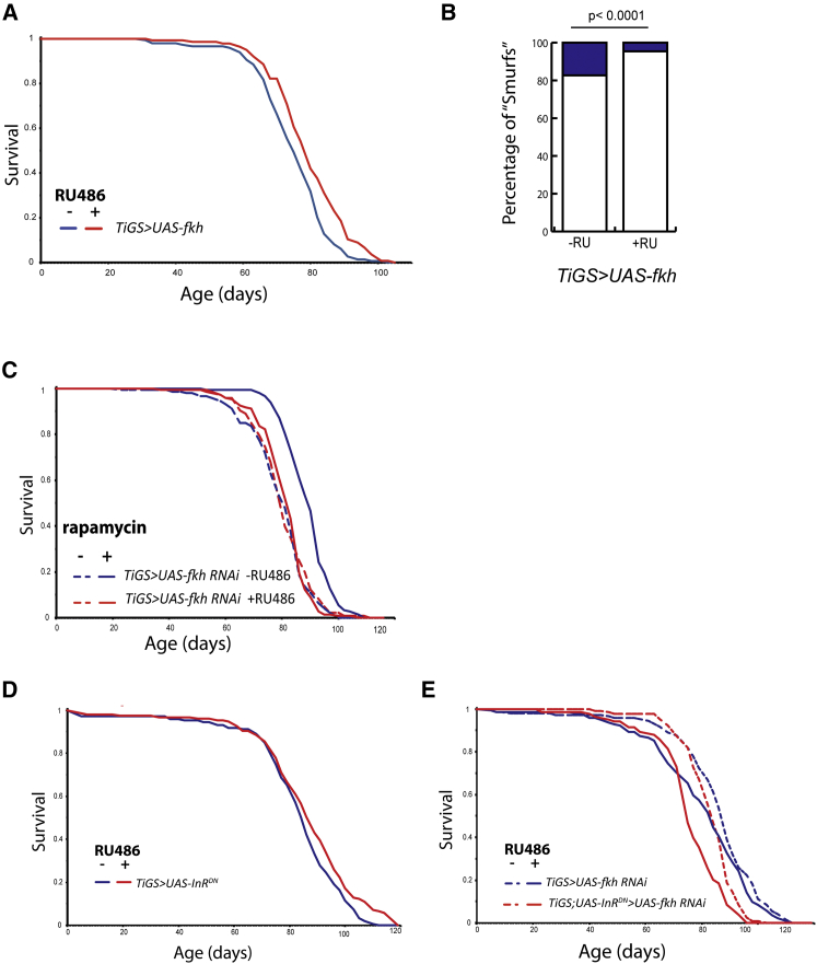 Figure 5