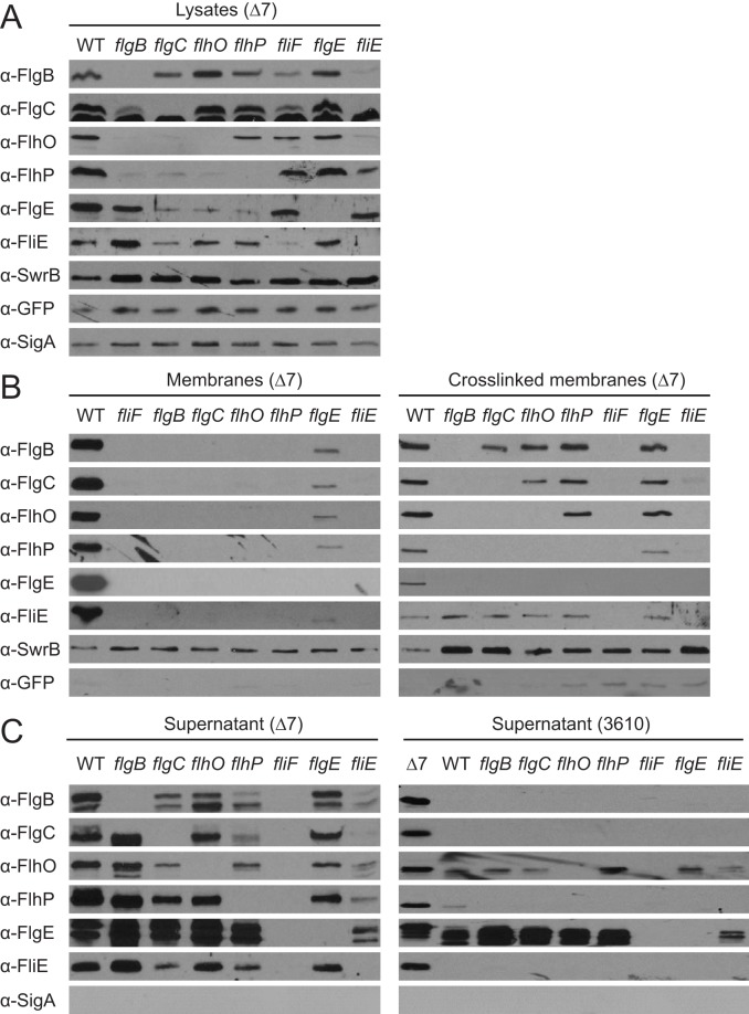 FIG 4