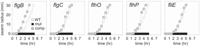 FIG 2