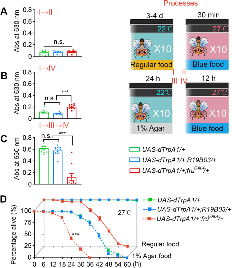 Fig. 2