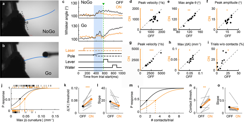 Figure 2 |