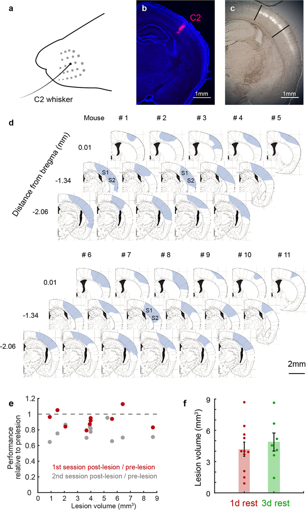 Extended Data Figure 4 |