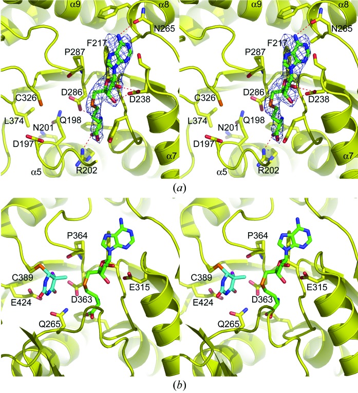 Figure 5