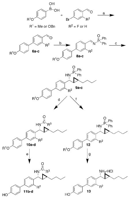 Scheme 1