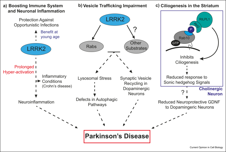 Figure 3