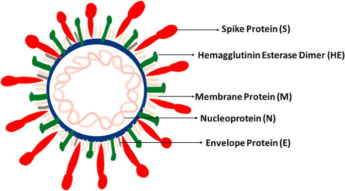 Fig. 2