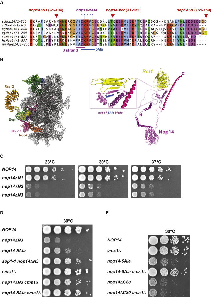 Figure 1