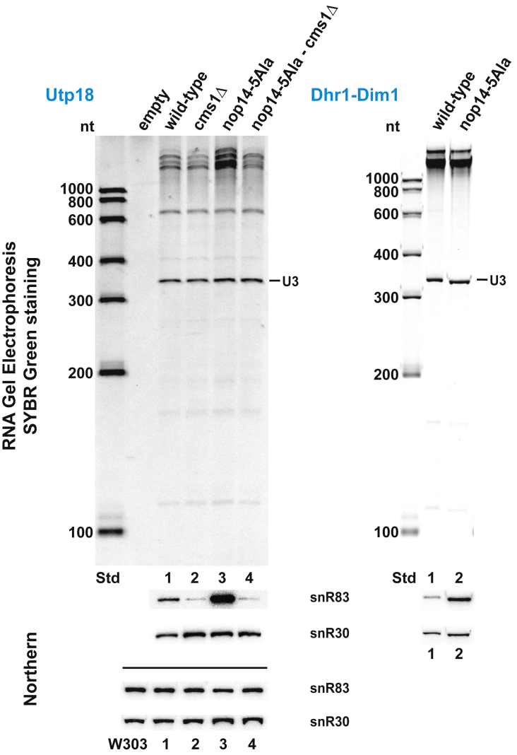 Figure 6