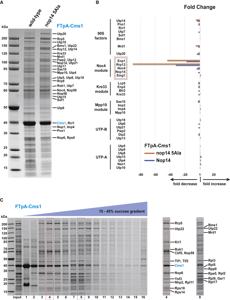 Figure 4