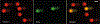 Fig. 9 |