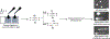 Fig. 8 |