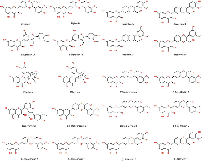 FIGURE 3