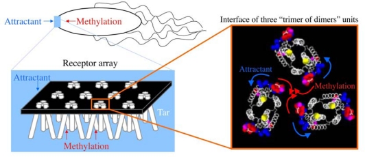 Figure 10.