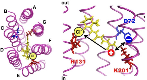 Figure 7.