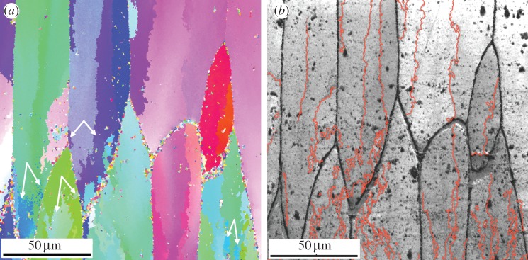 Figure 4.