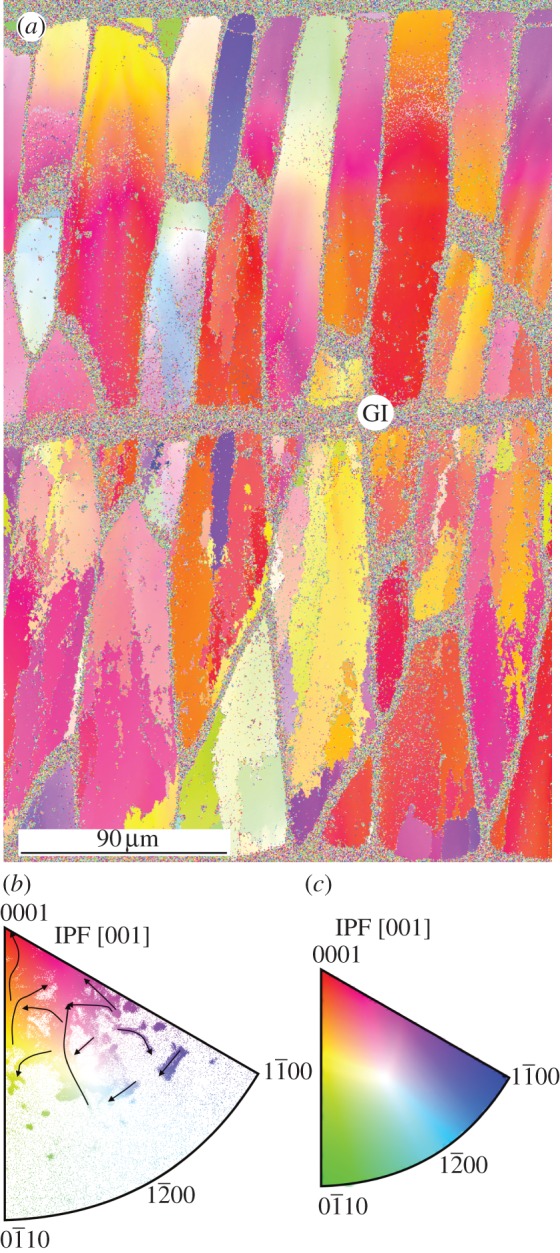 Figure 3.