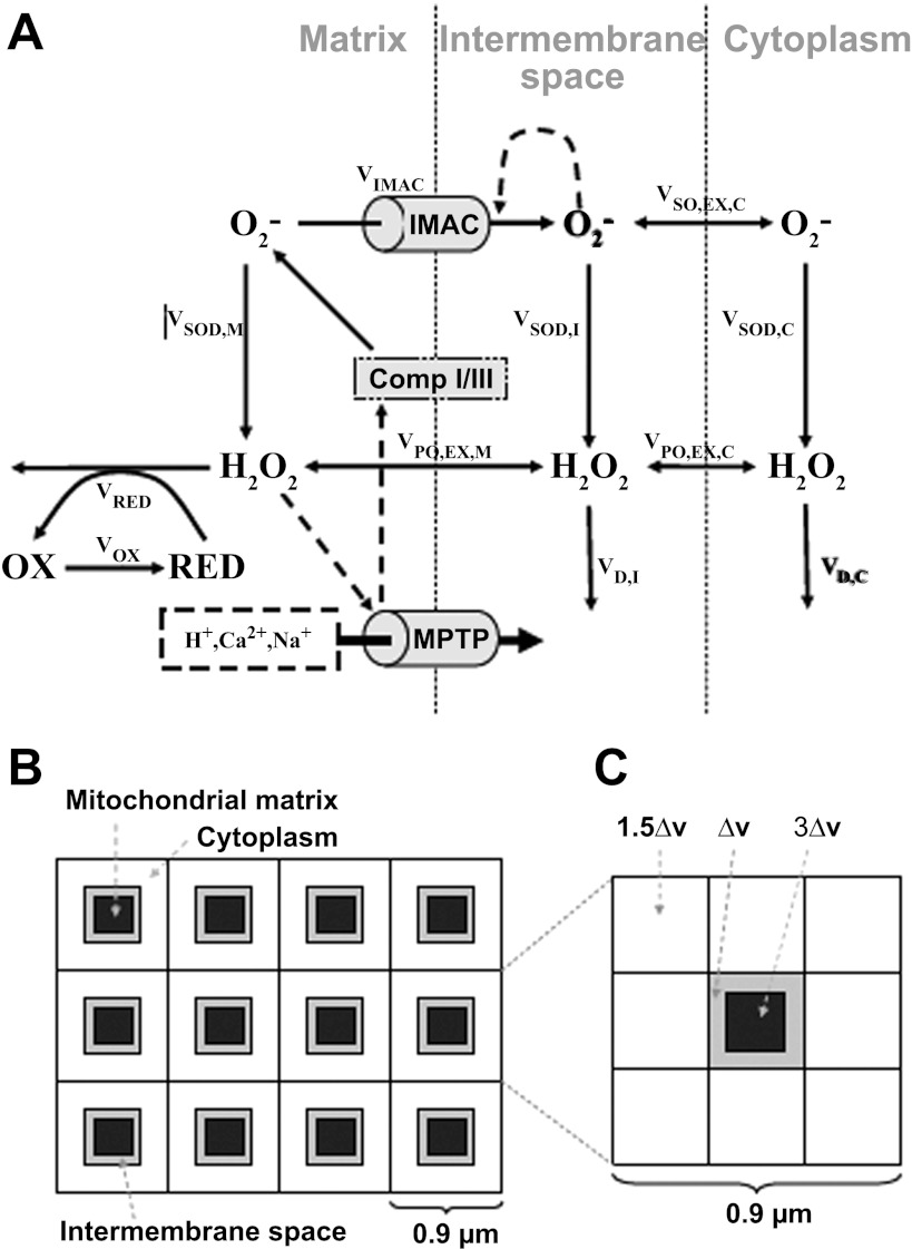 Fig. 4.