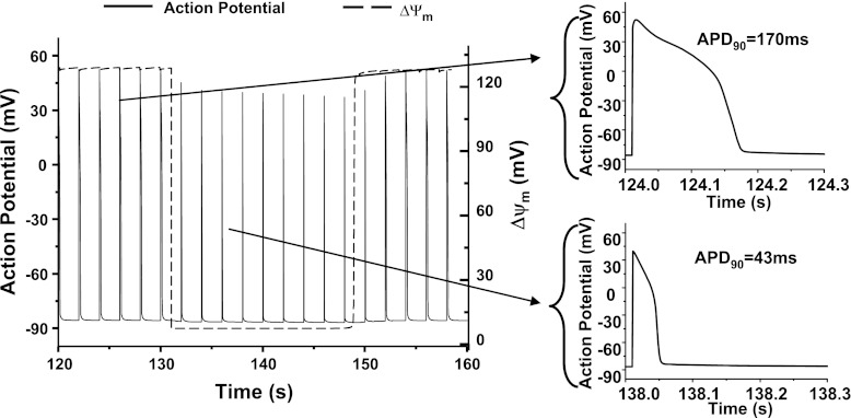 Fig. 6.