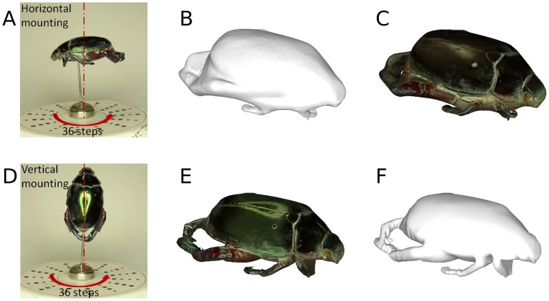 Figure 11