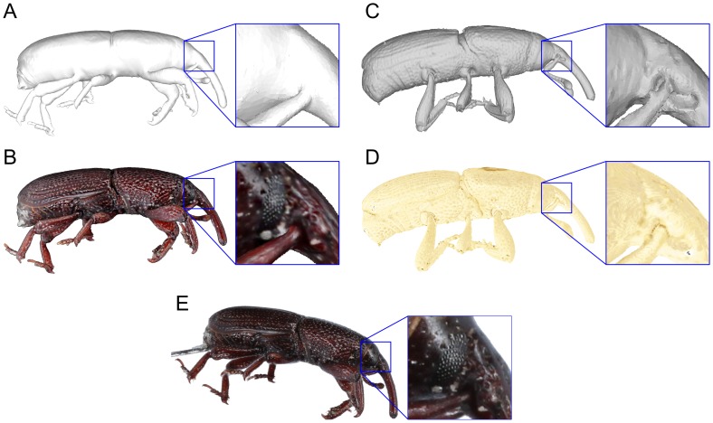 Figure 10