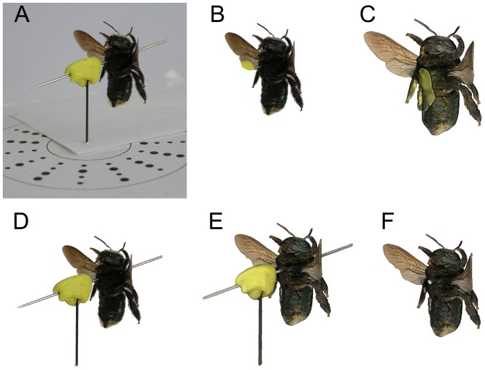 Figure 14