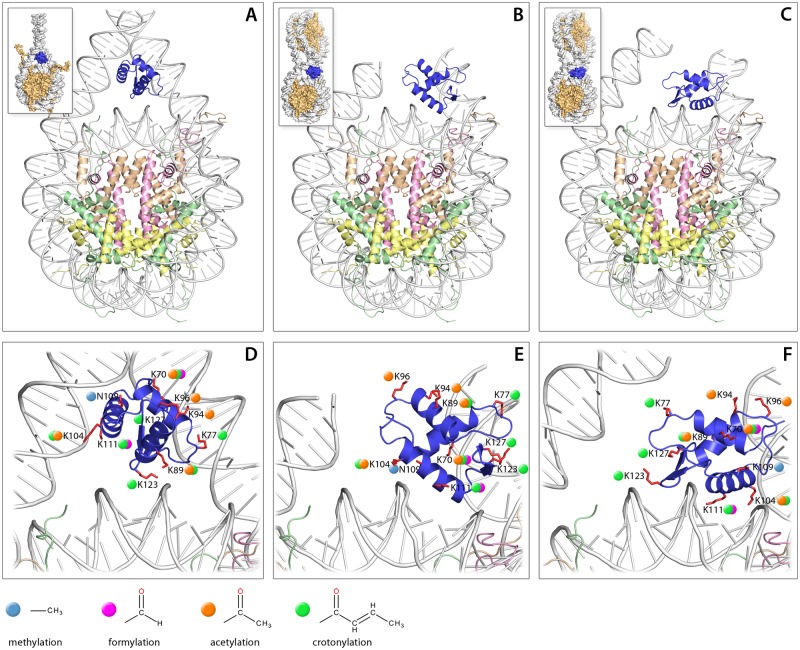 Fig 3