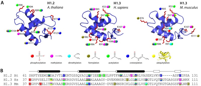 Fig 4