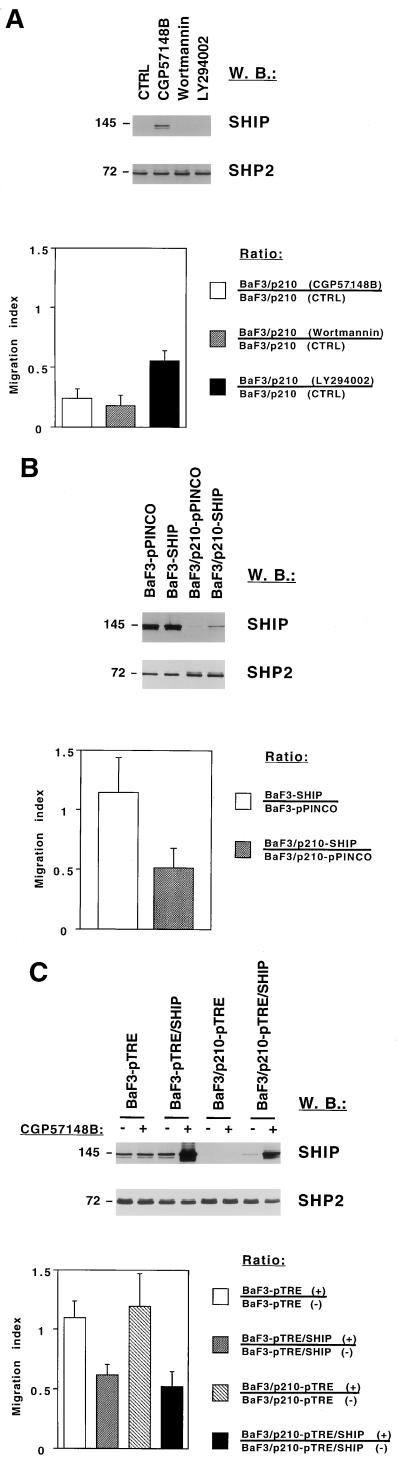 FIG. 5