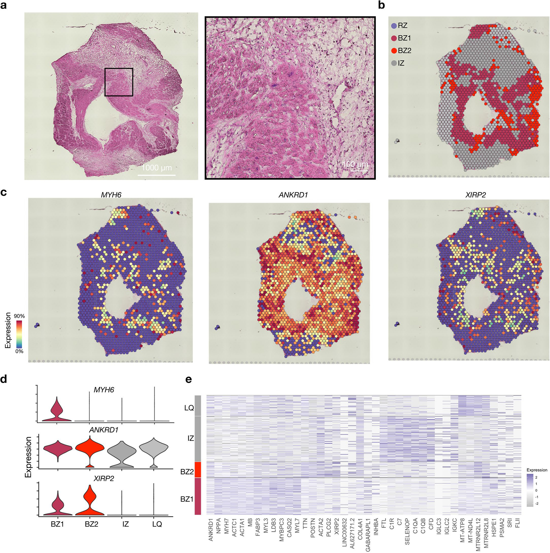 Extended Data Fig. 5 |