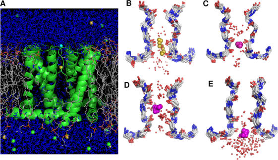 Figure 2.