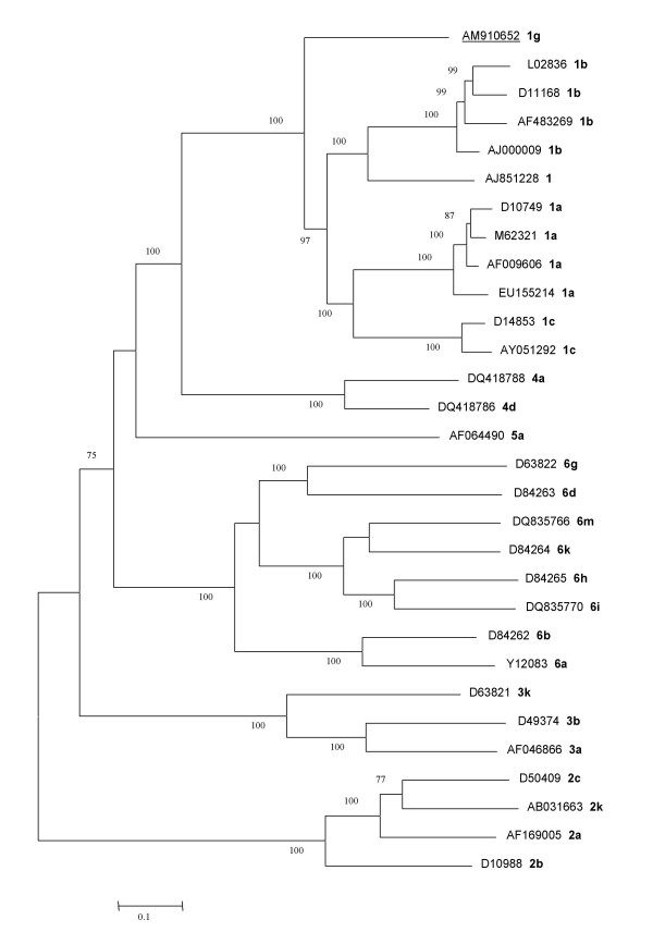 Figure 1