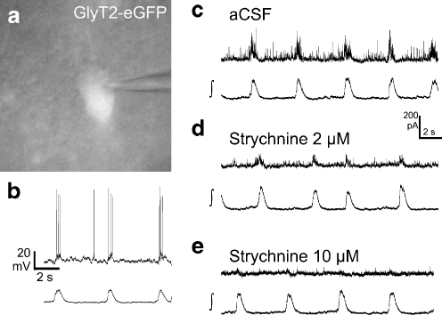 Fig. 6