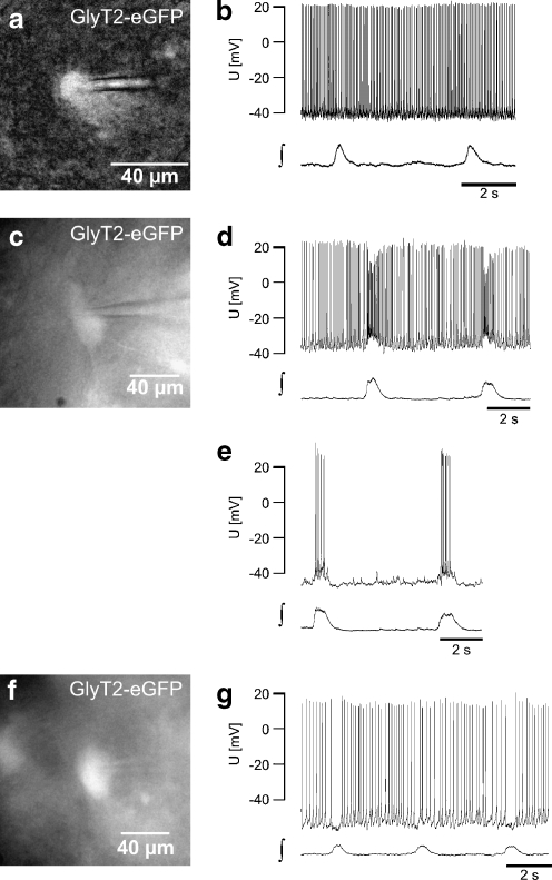 Fig. 4