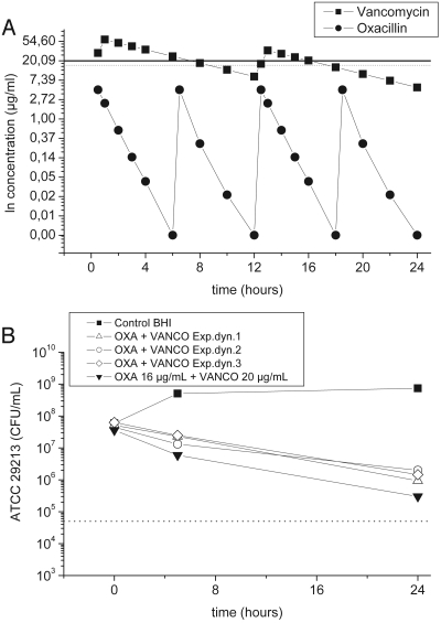 FIG. 2.