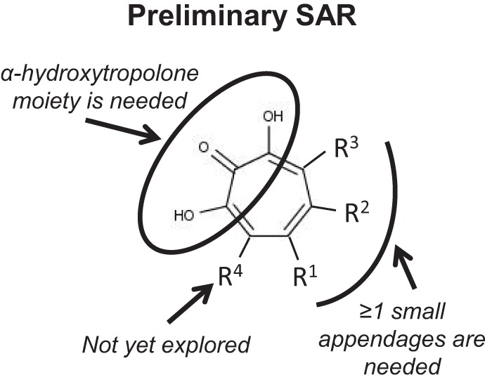 FIG 5