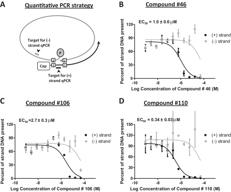 FIG 3