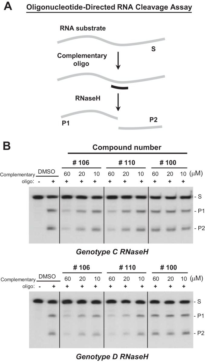 FIG 1