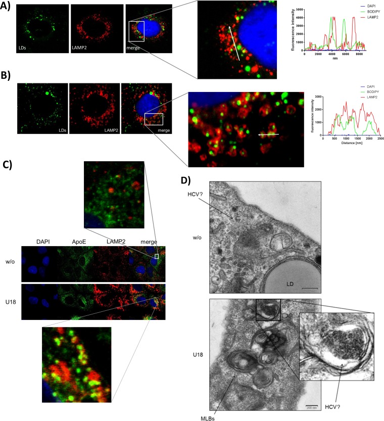 FIG 6