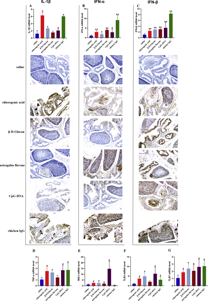 Figure 5