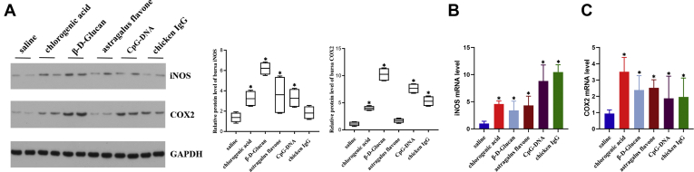 Figure 6