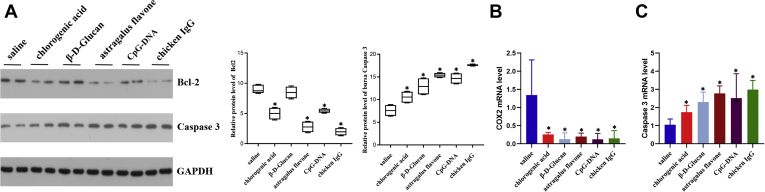 Figure 7