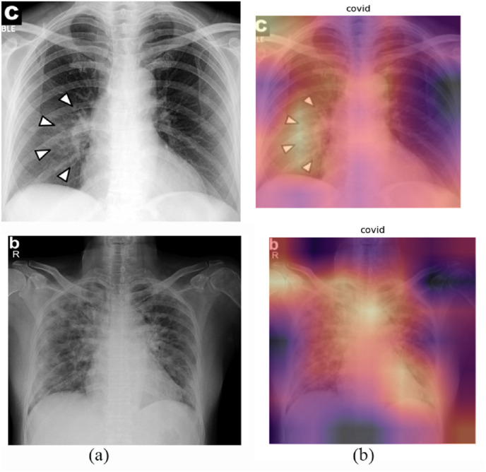 Fig. 10