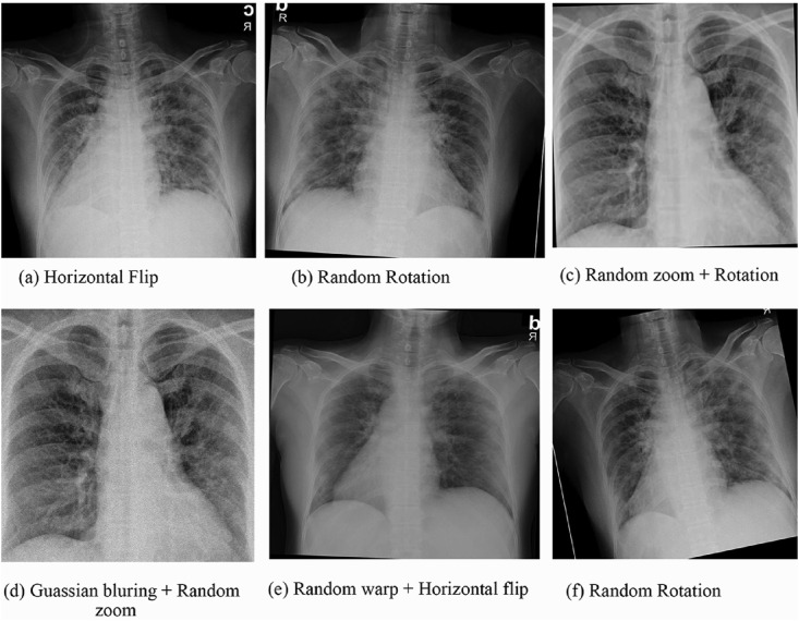 Fig. 6