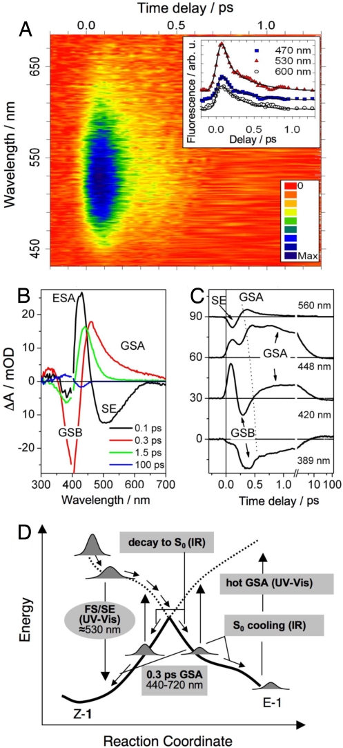 Fig. 3.