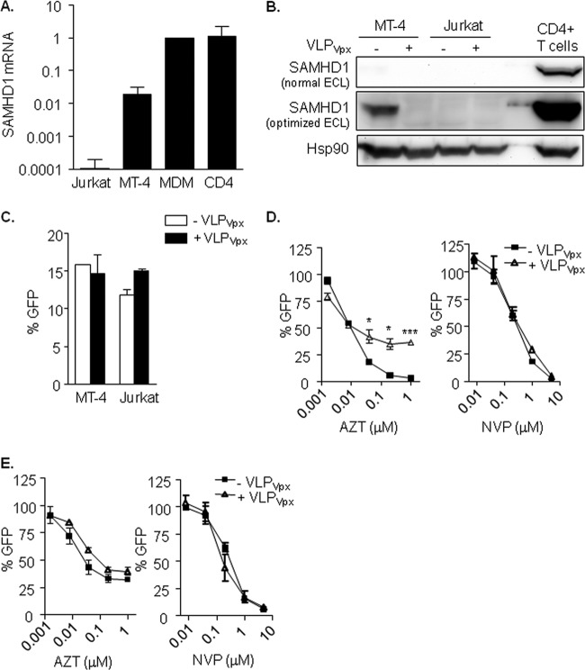 FIG 1