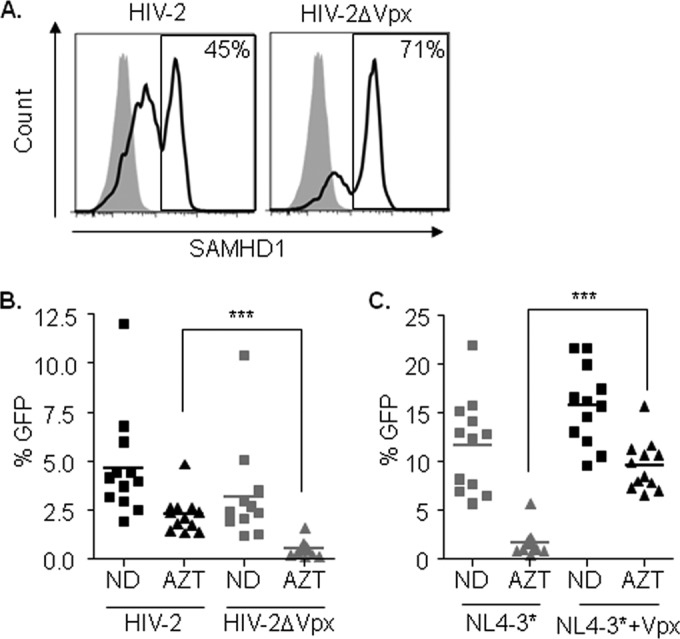 FIG 6