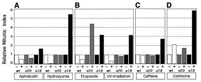 FIG. 6